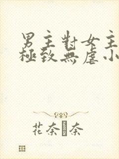 男主对女主宠到极致无虐小说