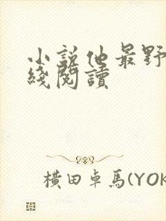 小说他最野了在线阅读