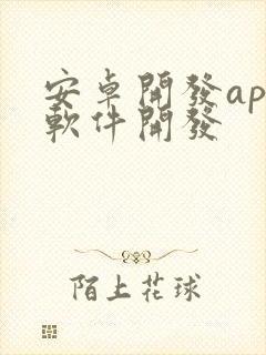 安卓开发app软件开发