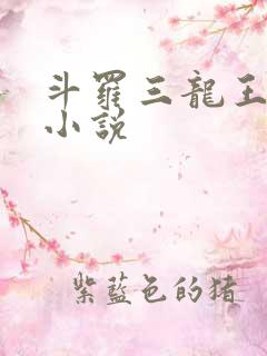 斗罗三龙王传说小说