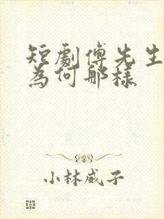 短剧傅先生夫人为何那样