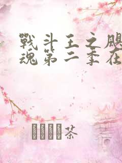 战斗王之飓风战魂第二季在线观看