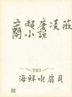 宋超唐凌薇笔趣阁小说