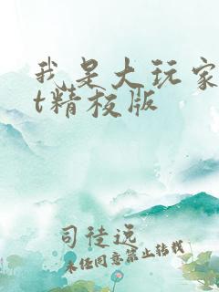 我是大玩家txt精校版