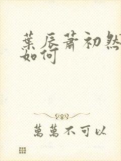 叶辰萧初然结局如何