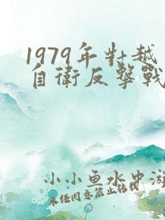 1979年对越自卫反击战全程实录