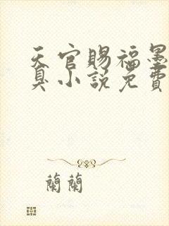 天官赐福墨香铜臭小说免费阅读全文无窗口