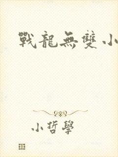 战龙无双小说