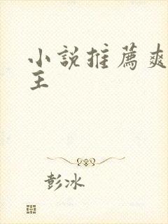 小说推荐爽文女主