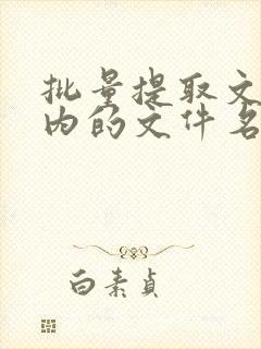 批量提取文件夹内的文件名