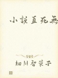小说直死无限