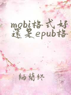 mobi格式好还是epub格式好