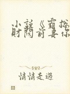 小说《霸总倒追财阀前妻你高攀不起》