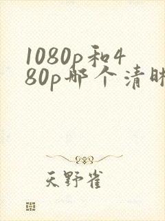 1080p和480p哪个清晰