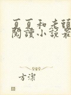 夏夏和老头免费阅读小说最新章节