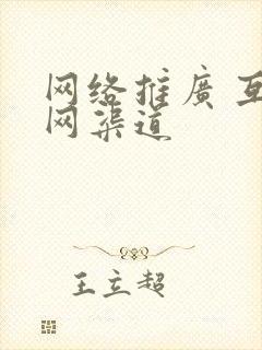 网络推广 互联网渠道