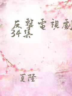 反击电视剧 全34集