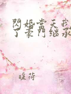 闪婚当天我怀上了豪门继承人完整版