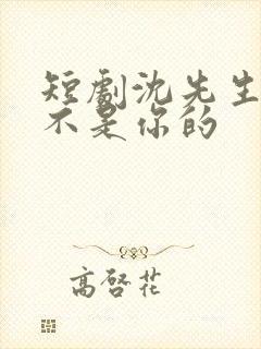 短剧沈先生孩子不是你的