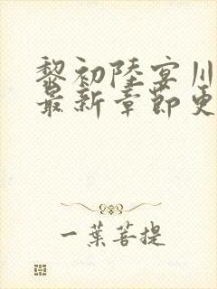 黎初陆宴川小说最新章节更新