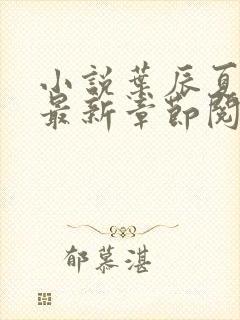 小说叶辰夏若雪最新章节阅读