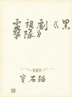 电视剧《黑狐突击队》