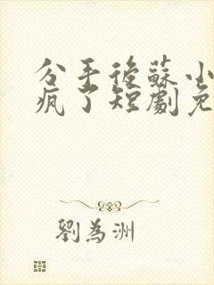 分手后苏小姐杀疯了短剧免费观看