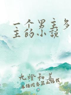 一个男主多个女主的小说