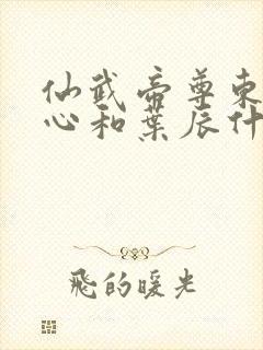 仙武帝尊东凰太心和叶辰什么关系