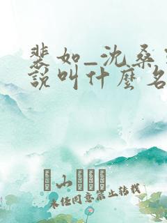 裴如_沈桑宁小说叫什么名字