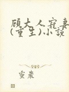 顾大人宠妻如命(重生)小说