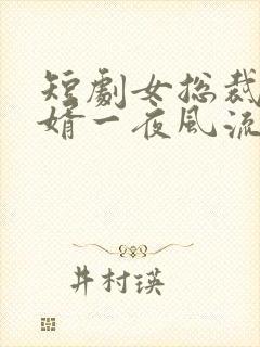 短剧女总裁和赘婿一夜风流