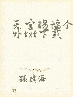 天官赐福全本番外txt下载