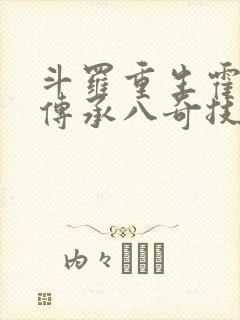斗罗重生霍雨浩传承八奇技
