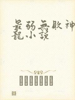 最弱无败神装机龙小说