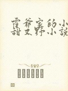 霍爷家的小祖宗甜又野小说完整版阅读全文