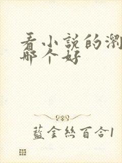 看小说的浏览器哪个好