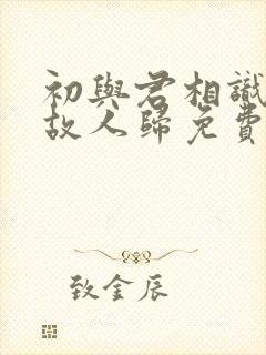 初与君相识恰似故人归免费观看