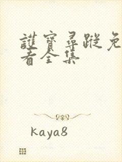 护宝寻踪免费观看全集