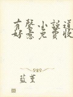 有声小说道士不好惹免费收听