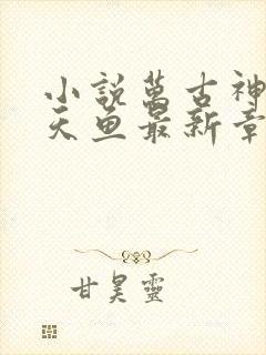 小说万古神帝飞天鱼最新章节阅读