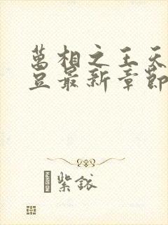 万相之王天蚕土豆最新章节阅读