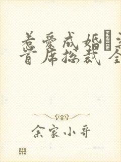 惹爱成婚·染指首席总裁 全文阅读