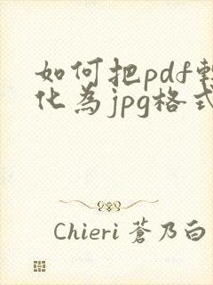 如何把pdf转化为jpg格式