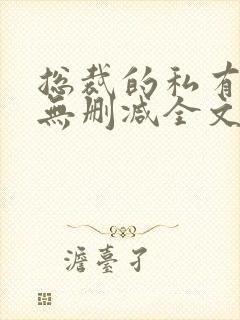 总裁的私有宝贝无删减全文免费