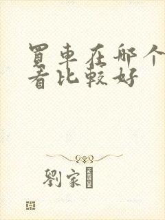 买车在哪个网站看比较好