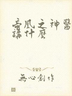 帝凰之神医弃妃讲什么