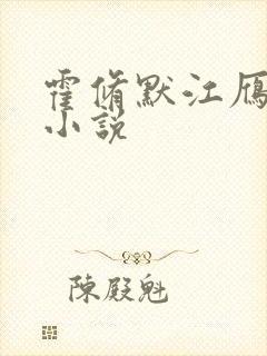 霍修默江雁声的小说