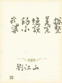 我的绝美总裁老婆小说完整版