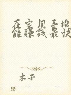 在家用手机怎样能赚钱最快最安全